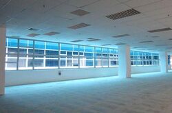 Techview (D14), Factory #613412281
